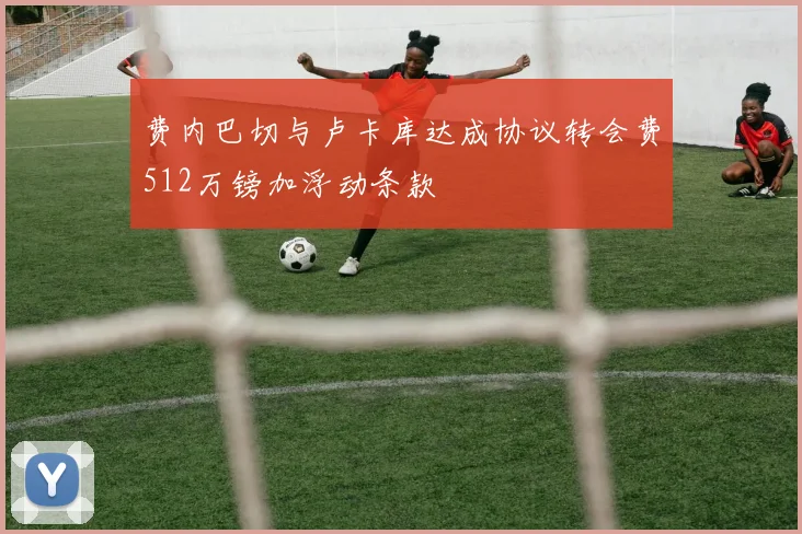 费内巴切与卢卡库达成协议转会费512万镑加浮动条款